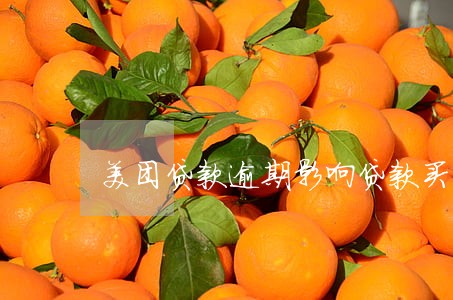 美团贷款逾期影响贷款买车吗 美团贷款逾期影响贷款买车吗