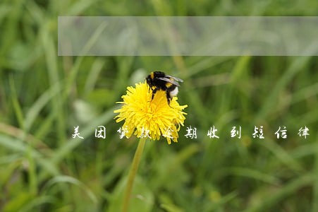 美团贷款逾期收到短信律师函