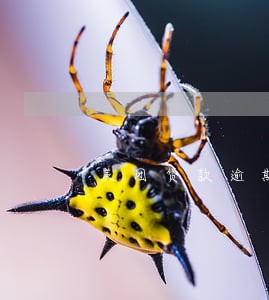 美团贷款逾期的图片 美团贷款逾期的图片
