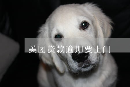 美团贷款逾期要上门 美团贷款逾期要上门