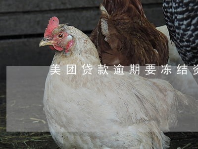 美团贷款逾期要冻结资产 美团贷款逾期要冻结资产
