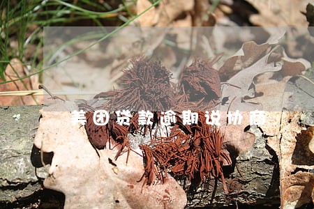 美团贷款逾期说协商 美团贷款逾期说协商