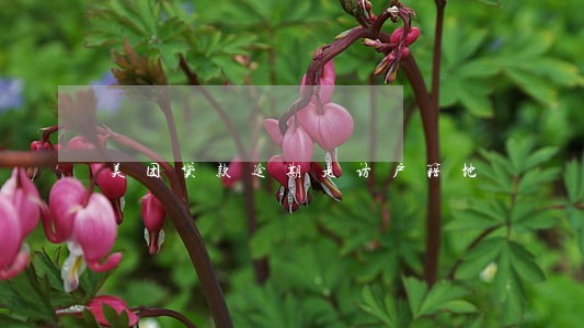 美团贷款逾期走访户籍地 美团贷款逾期走访户籍地