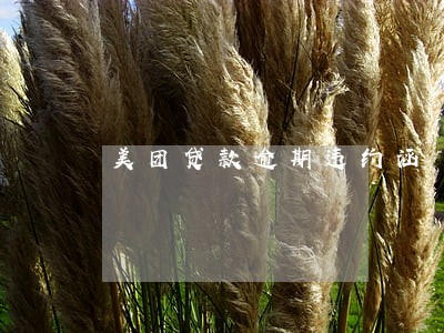 美团贷款逾期违约涵 美团贷款逾期违约涵