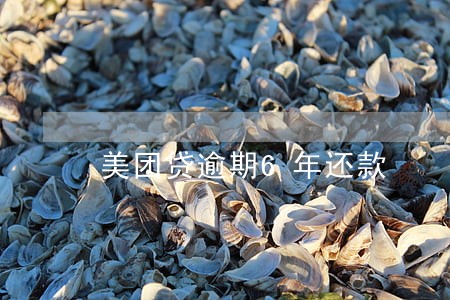 美团贷逾期6年还款 美团贷逾期6年还款