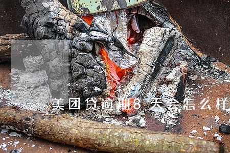 美团贷逾期8天会怎么样 美团贷逾期8天会怎么样