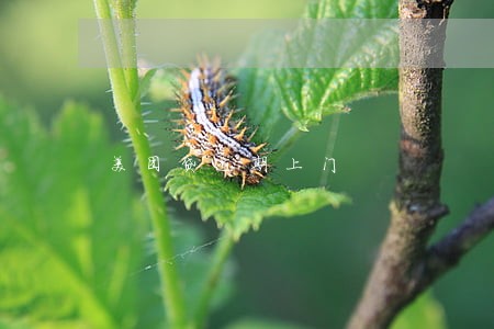 美团贷逾期上门 美团贷逾期上门