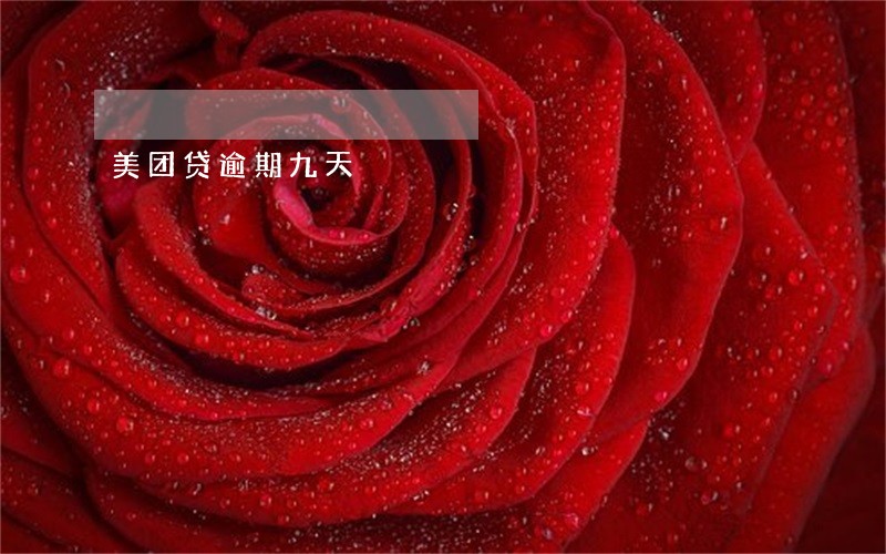 美团贷逾期九天 美团贷逾期九天
