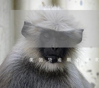 美团贷逾期会要求全额还款吗 美团贷逾期会要求全额还款吗