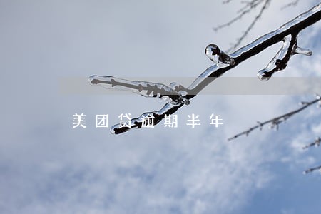 美团贷逾期半年 美团贷逾期半年