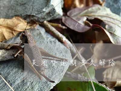美团贷逾期多久解除 美团贷逾期多久解除