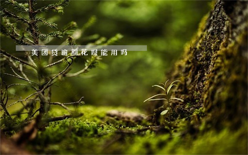 美团贷逾期花呗能用吗 美团贷逾期花呗能用吗