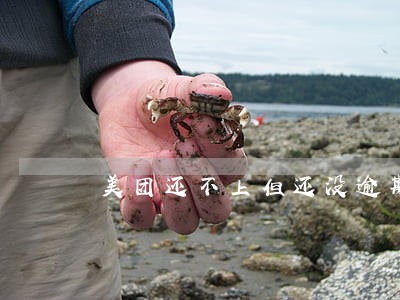 美团还不上但还没逾期
