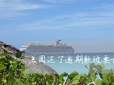 美团还了逾期款被要求全额还款