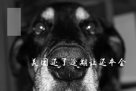 美团还了逾期让还本金 美团还了逾期让还本金