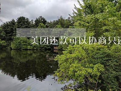 美团还款可以协商只还本金吗 美团还款可以协商只还本金吗