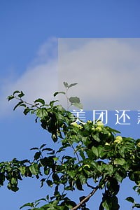 美团还款失败逾期三天怎么办 美团还款失败逾期三天怎么办