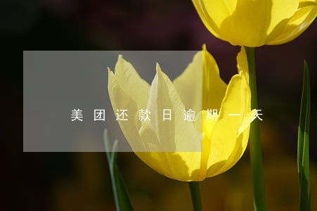 美团还款日逾期一天 美团还款日逾期一天