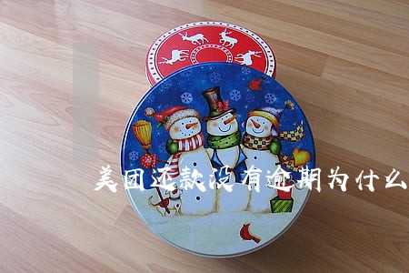 美团还款没有逾期为什么借不了