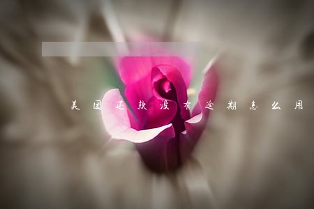 美团还款没有逾期怎么用不了 美团还款没有逾期怎么用不了