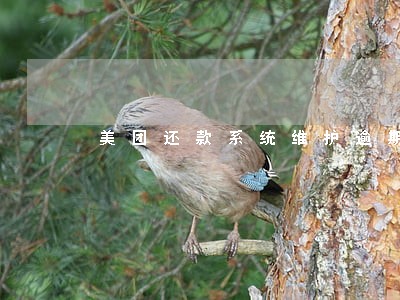 美团还款系统维护逾期2小时 美团还款系统维护逾期2小时
