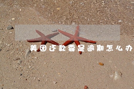 美团还款要是逾期怎么办 美团还款要是逾期怎么办