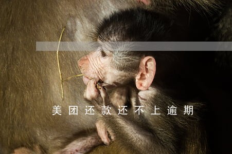 美团还款还不上逾期 美团还款还不上逾期