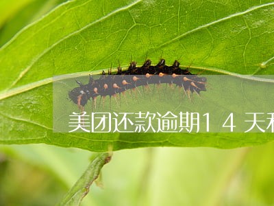 美团还款逾期14天利息多少呢