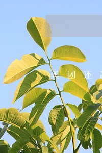 美团还款逾期2天会怎么样 美团还款逾期2天会怎么样