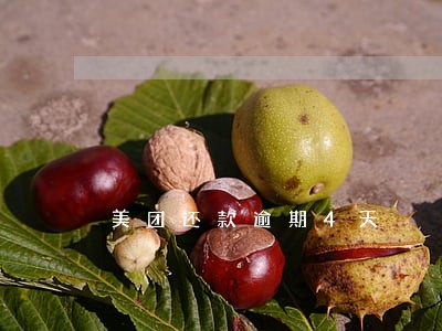 美团还款逾期4天 美团还款逾期4天