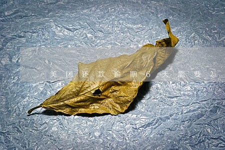 美团还款逾期6天需要怎么处理