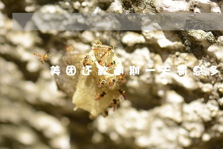 美团还款逾期一天罚息多少