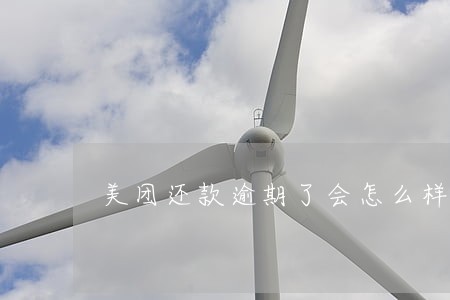 美团还款逾期了会怎么样