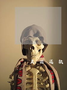 美团还款逾期几天上征信 美团还款逾期几天上征信