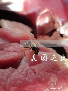 美团还款逾期多久会上征信