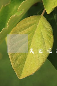 美团还款逾期好久了