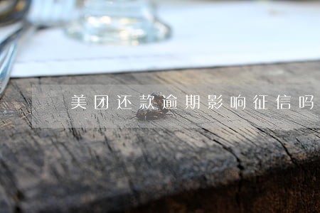 美团还款逾期影响征信吗