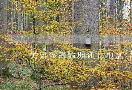 美团还清逾期还打电话