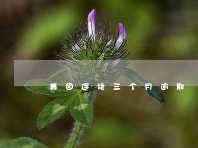 美团连续三个月逾期 美团连续三个月逾期
