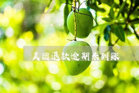 美团退款逾期未到账 美团退款逾期未到账
