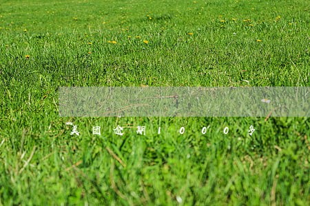 美团逾期1000多