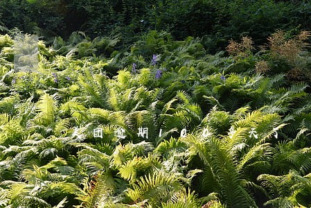 美团逾期100多天了 美团逾期100多天了