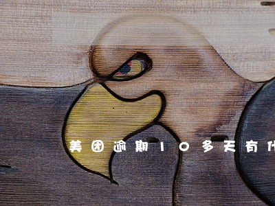 美团逾期10多天有什么后果 美团逾期10多天有什么后果