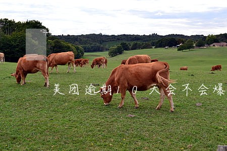 美团逾期10天会不会爆通讯录 美团逾期10天会不会爆通讯录