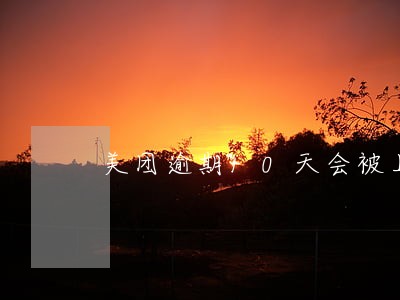 美团逾期10天会被上诉吗 美团逾期10天会被上诉吗
