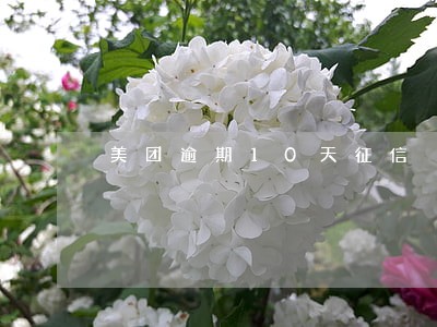 美团逾期10天征信 美团逾期10天征信