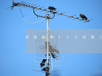 美团逾期11天说要上门诉讼 美团逾期11天说要上门诉讼