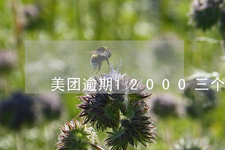 美团逾期12000三个月