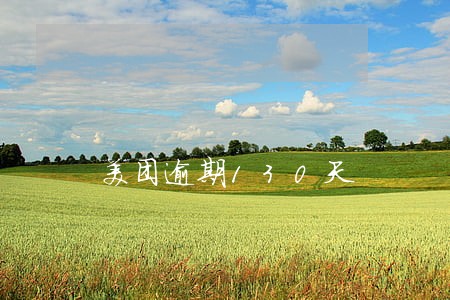 美团逾期130天 美团逾期130天