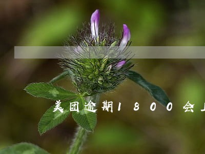 美团逾期1800会上门吗 美团逾期1800会上门吗